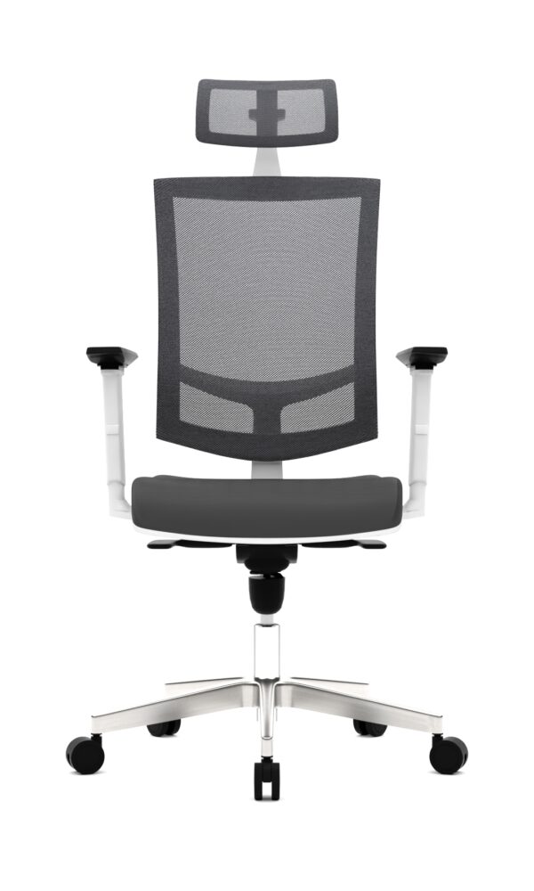 Silla Presidencial Q1 ALTA - Imagen 4